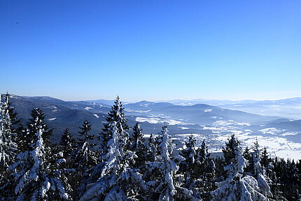 IMG_4998_nb