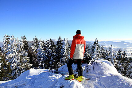 IMG_4989_nb