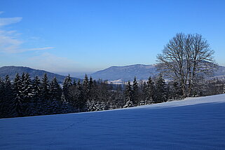 IMG_4863