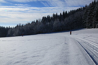 IMG_4848