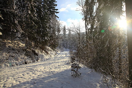 IMG_4798_nb